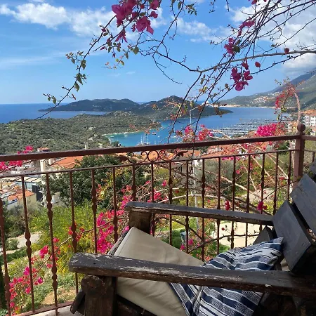 Homes 5 דירה קס